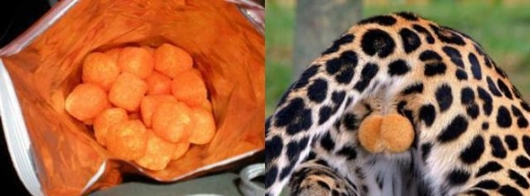 Cheetos - a gepárdos az igazi...