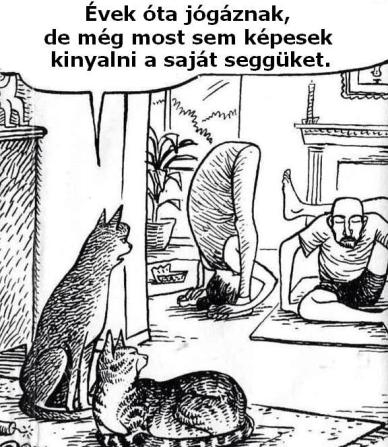 Tehetségtelen banda