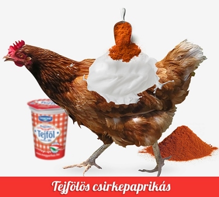 A mai menü - tejfölös csirkepaprikás