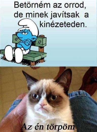 A morcos macska haverja