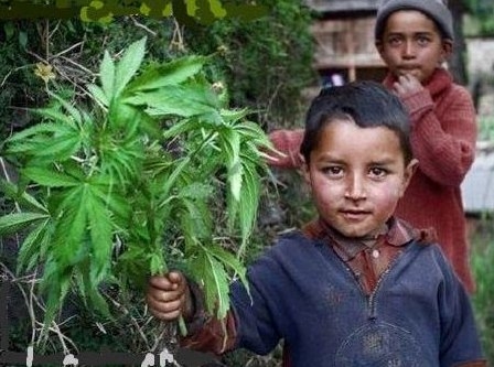 Ne feledd . . . vasárnap anyák napja