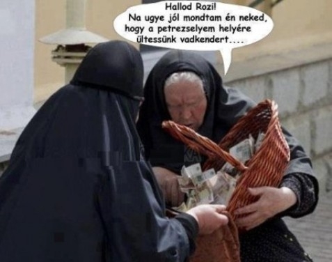 Nyugdíjkiegészítés . . .