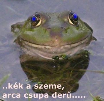 Kék a teme - 0:50-től megy a sláger