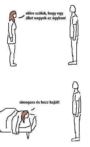 A kezdeti örömök vége