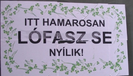 Ő valószínüleg nem nyert a trafik pályázaton