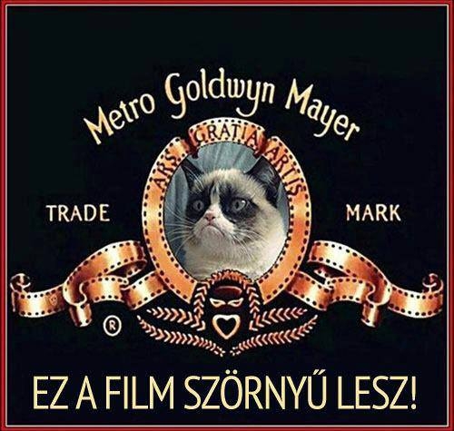 Oroszlán üvöltés helyett...