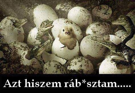 Sokszor hallani : nem jó helyre születtem :D