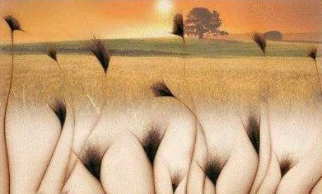 Ha nem virágokat látsz a képen . . .