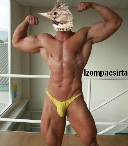 Napi fárasztó - IzomPacsirta