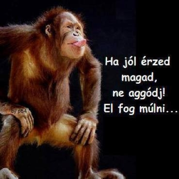 Hétfő - indul a mókuskerék