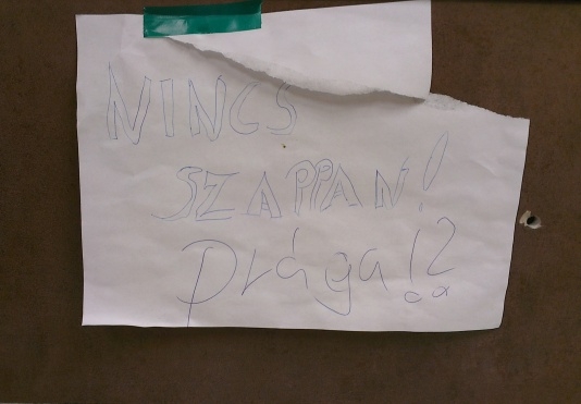 Szegedi tacskó klotyójában