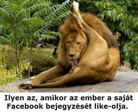 Jobb észben tartani...