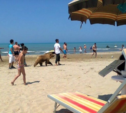 Pillanatkép az Albán tengerpartról