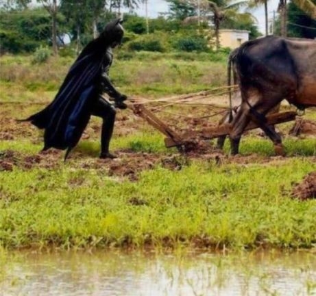 Másodállást vállalt . . .