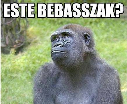 Szombat délutáni dilemma