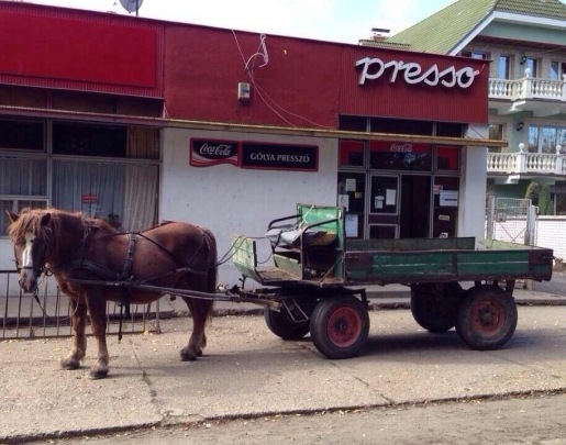 Egy sört a lovamnak is!