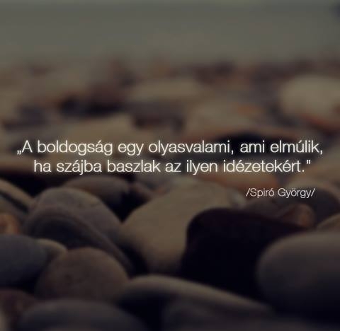 Facebook betyároknak