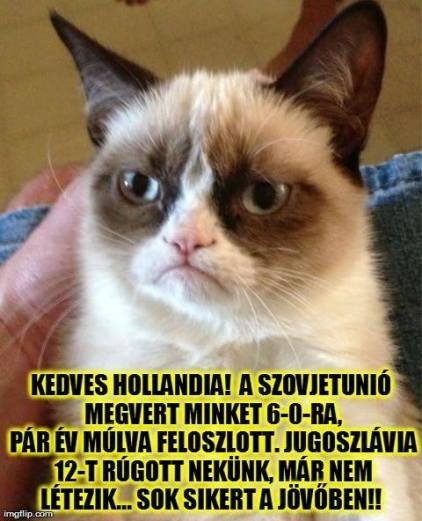 Ahogy Grumpy látja a helyzetet