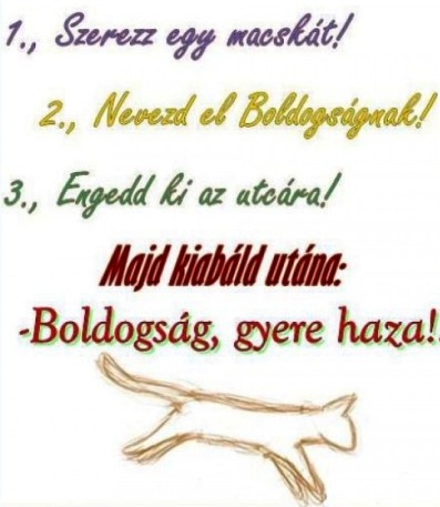 Hogyan kezdj neki a boldogság kereséséhez?