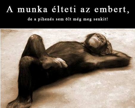 Vasárnapi bölcselet