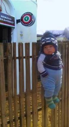 Apa beugrott a Trafikba 🙁