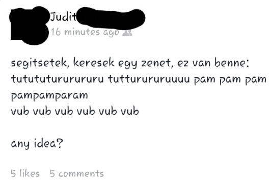 Zenét keres a hölgy . . .