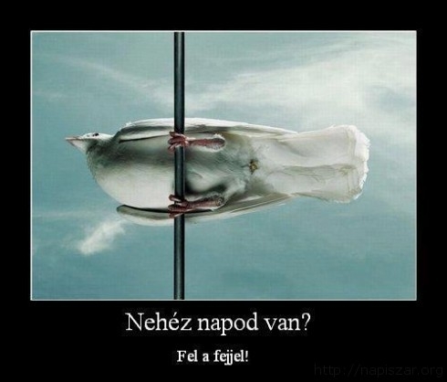 Mindig van rosszabb. . .