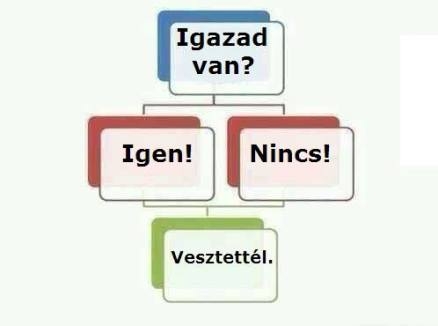 Vita egy nővel - folyamatábra