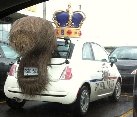 Csak egy céges verda