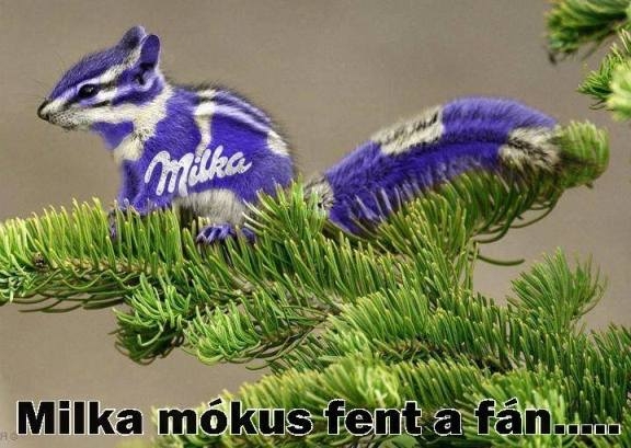 Ünnepek előtti fárasztó