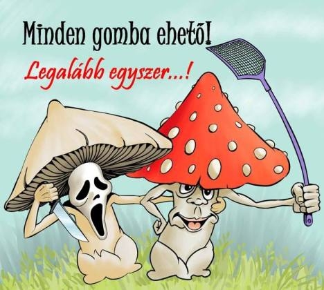 Bizarr kijelentés a Galóca testvérektől