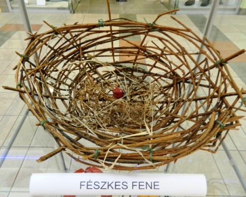 Íme a fészkes fene