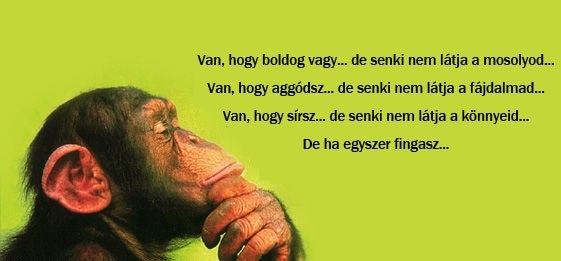 Egy bölcsesség Csitától