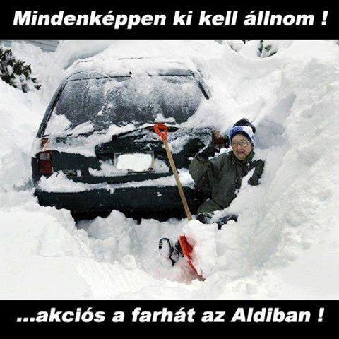 Szerda