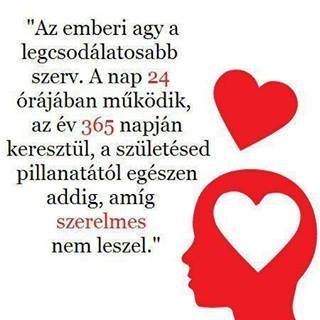 Hétfői igazságosztó