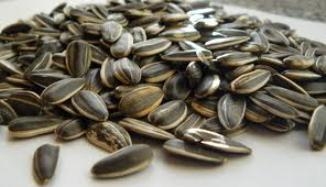 Szotyi - rosszabb, mint a drog