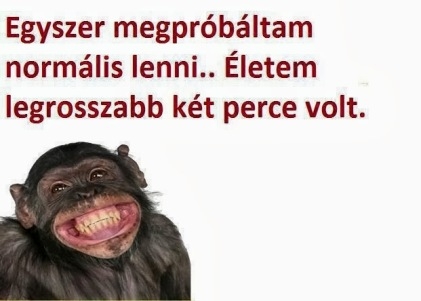 Többet soha