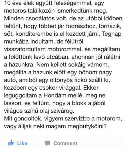 Komoly dilemmában van . . .