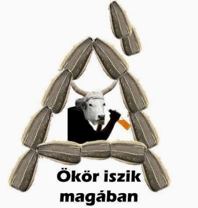 Egy durva zsibbasztó estére