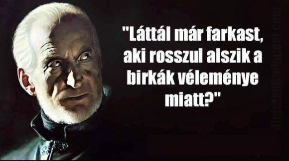 Politikáról, 2 másodpercben