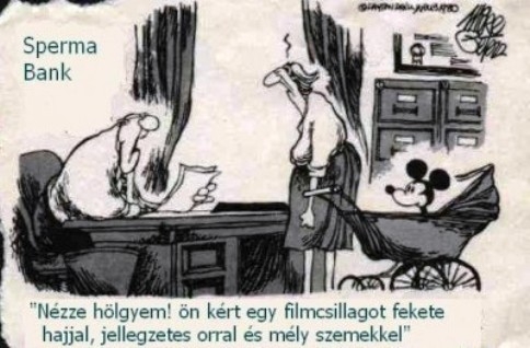 Nem egészen ilyenre gondolt . . .