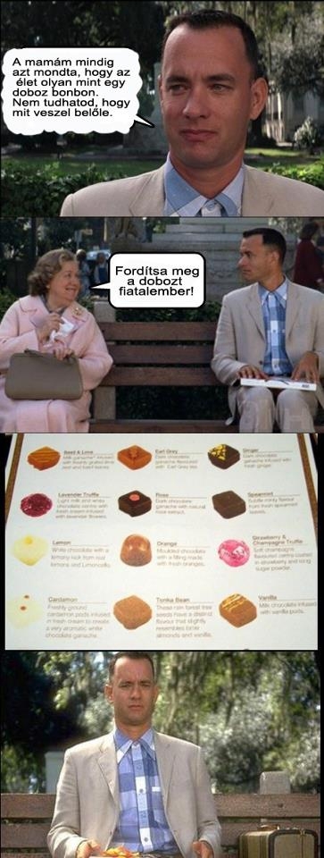 Napi felvilágosító