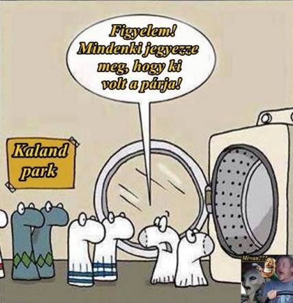 Eközben a zokni vliágban