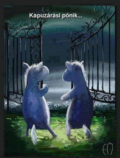 Pénteki zsibbbasztó