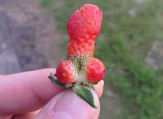 Vicces kedvében volt a természet