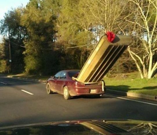 Nagy az Isten állatkertje . . .