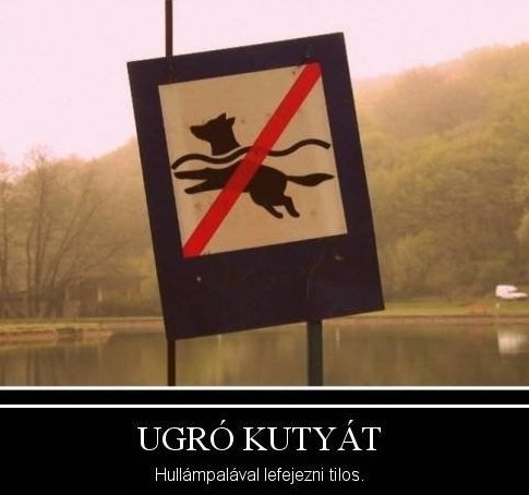 Tiltó tábla, a hiperaktív kutyák védelmére