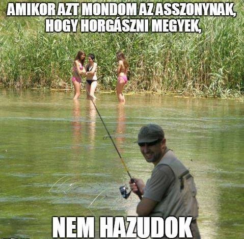 Napi igazságosztó