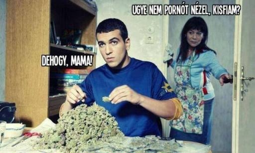 Hova gondolsz muter...