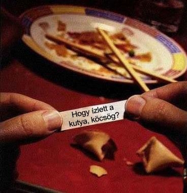 Ez az igazi meglepetés